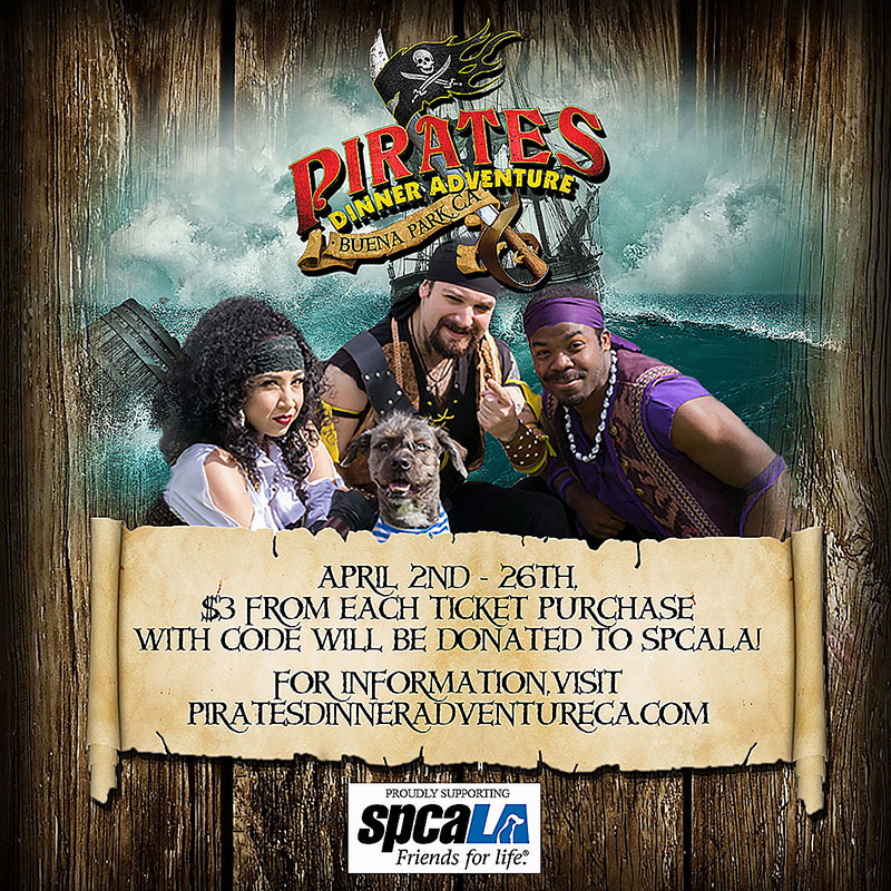 image for Stand With The Pirates Against Animal Cruelty!
 Blog Post