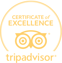 Trip Advisor Logo